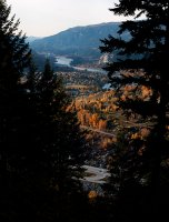 Click to enlarge Up the Arrow Lake